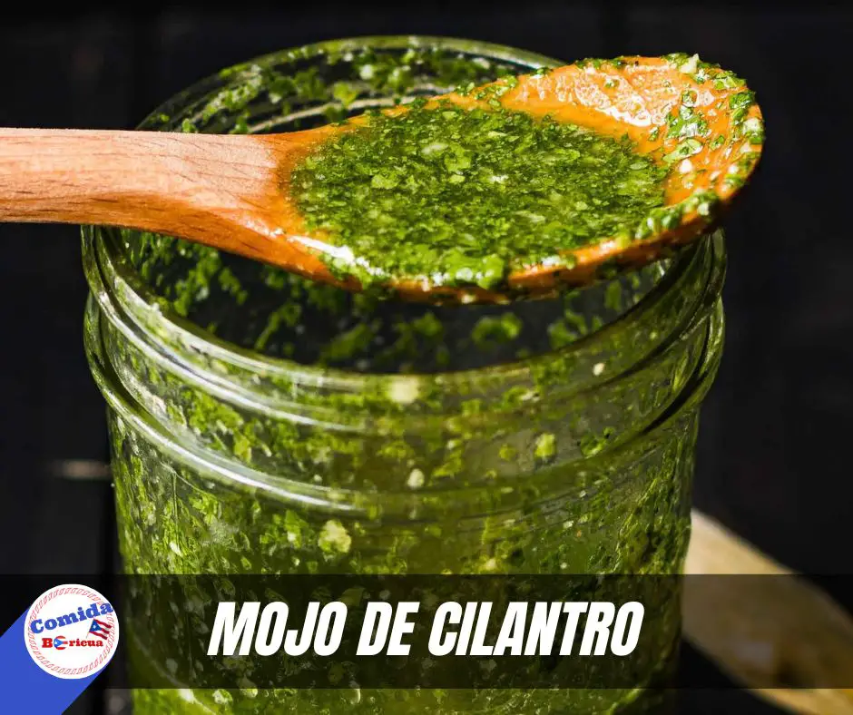 Receta mojo de cilantro de Puerto Rico original